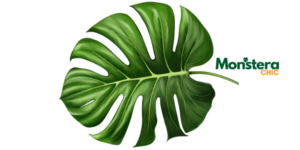 monstera plant stake